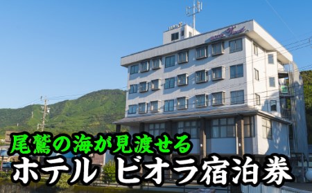 【宿泊券】ホテルビオラ　デラックスシングルルーム１泊（朝食付き）HV-1