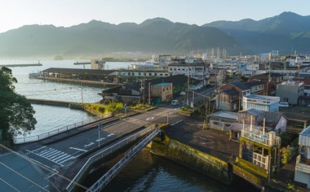 【宿泊券】ホテルビオラ　デラックスシングルルーム１泊（朝食付き）HV-1