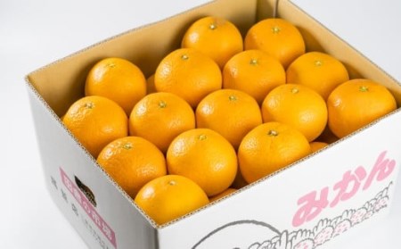 【訳あり】三重県産　清見オレンジ（きよみ） ６kg【出荷目安：３月中旬〜５月上旬】 II-39