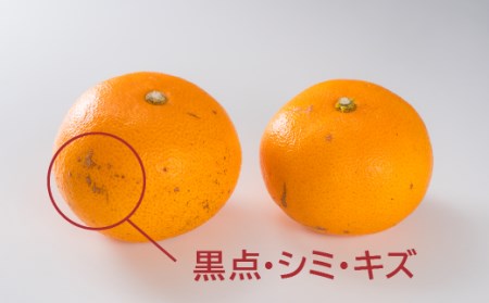 【訳あり】三重県産 せとか ４kg【出荷目安：２月下旬～３月下旬】 せとか くだもの デザート セトカ 高評価 ミカン フルーツ 人気 蜜柑 おすすめ みかん 国産 旬 せとか 柑橘 II-57　