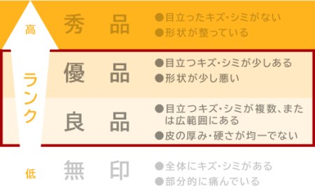 【訳あり】三重県産 せとか ４kg【出荷目安：２月下旬～３月下旬】 せとか くだもの デザート セトカ 高評価 ミカン フルーツ 人気 蜜柑 おすすめ みかん 国産 旬 せとか 柑橘 II-57　