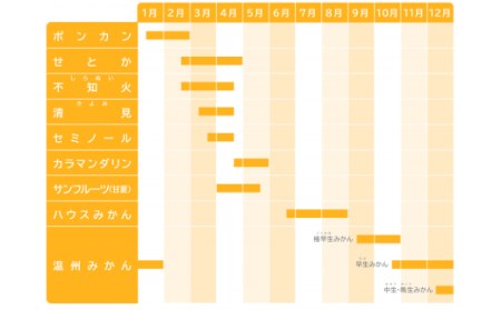 【訳あり】三重県産 せとか ４kg【出荷目安：２月下旬～３月下旬】 せとか くだもの デザート セトカ 高評価 ミカン フルーツ 人気 蜜柑 おすすめ みかん 国産 旬 せとか 柑橘 II-57　