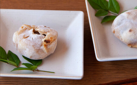 とち餅 （ あん餅 ） 10個  尾鷲  老舗菓子店  朝日饅頭本舗   栃   餅 もち とちもち  和菓子  餡もち   三重県  尾鷲市  AM-1