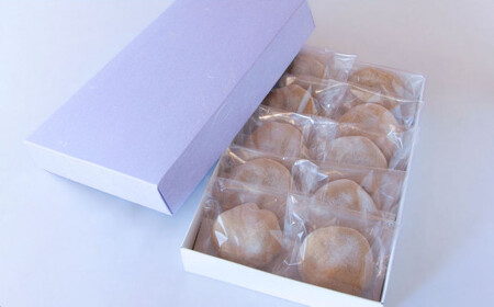 とち餅 （ あん餅 ） 10個  尾鷲  老舗菓子店  朝日饅頭本舗   栃   餅 もち とちもち  和菓子  餡もち   三重県  尾鷲市  AM-1