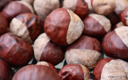 とち餅 （ あん餅 ） 10個  尾鷲  老舗菓子店  朝日饅頭本舗   栃   餅 もち とちもち  和菓子  餡もち   三重県  尾鷲市  AM-1