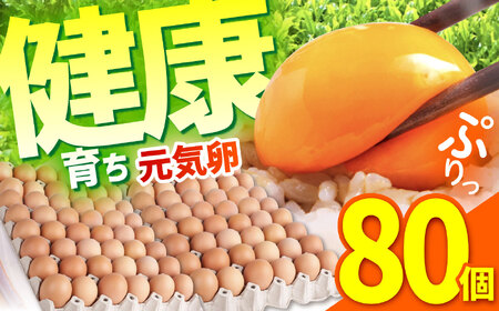 元気卵 80個 藪本養鶏園 卵  [AMBH001]