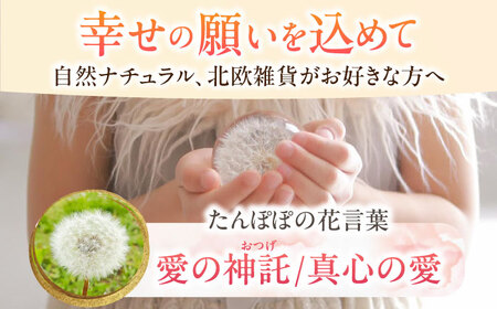 【pallo 65mm】たんぽぽハーバリウム / インテリア 雑貨 フラワー ナチュラル / 亀山市 / auRinko [AMBL001]