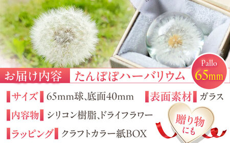 【pallo 65mm】たんぽぽハーバリウム / インテリア 雑貨 フラワー ナチュラル / 亀山市 / auRinko [AMBL001]