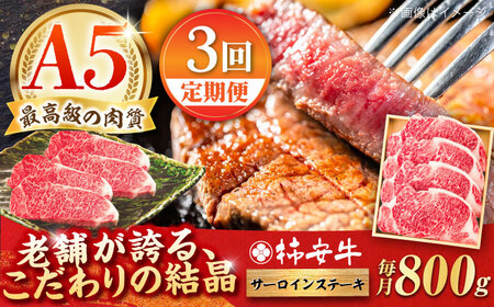 【3回定期便】最高級A5等級 三重県産 黒毛和牛 柿安牛 サーロインステーキ 800g / 国産牛 和牛 ブランド牛 牛肉 冷蔵 高級肉 ギフト 贅沢 / 亀山市 / 柿安本店 [AMBW027]