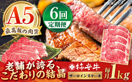 【6回定期便】最高級A5等級 三重県産 黒毛和牛 柿安牛 サーロインステーキ 1000g / 国産牛 和牛 ブランド牛 牛肉 冷蔵 高級肉 ギフト 贅沢 / 亀山市 / 柿安本店 [AMBW031]