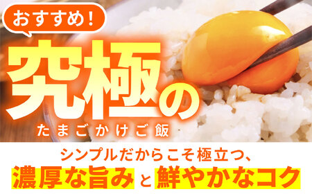 6回定期便 元気卵 30個入り 藪本養鶏園 卵 [AMBH003]