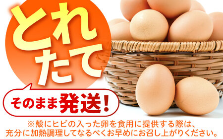 【12か月定期便】元気卵 30個入り 藪本養鶏園 卵 [AMBH004]