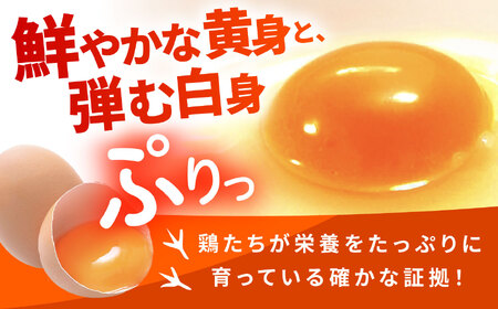 【3回定期便】お茶と海藻で健康育ち 元気卵 120個（40個×3回） / たまご タマゴ 玉子 鶏卵 / 亀山市 / 藪本養鶏園  [AMBH005]
