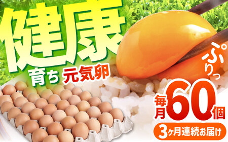 元気卵 180個（60個×3回）【3回定期便】 / たまご タマゴ 玉子 鶏卵 / 亀山市 / 藪本養鶏園 [AMBH006]