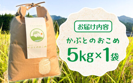 特別栽培米 かぶとのおこめ 精米 5kg お米 白米 亀山市/かぶとの森テラス[AMAD009]