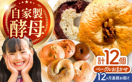 【12回定期便】 三重県産小麦使用 自家製天然酵母のおまかせベーグルセット / パン ベーグルパン ベーグル 国産小麦 / 亀山市 / くるくる・ベーグル [AMAT012]