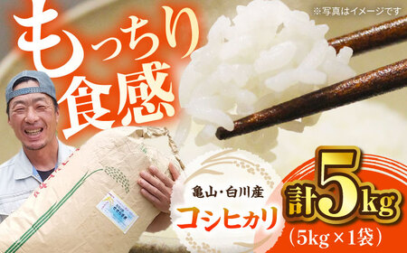 おいしい！亀山・白川産コシヒカリ 5kg 亀山市/せせらぎの里営農組合 お米 コシヒカリ 送料無料[AMAX003]