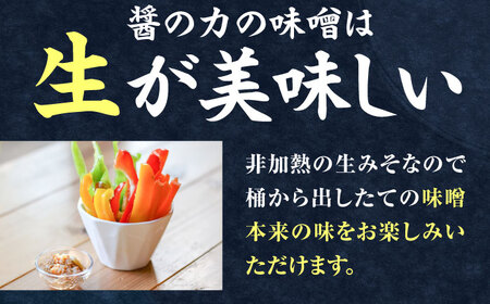 醤の力（ひしおのちから）長期熟成 天然 醸造みそ 1.5kg(500g×3個) / 味噌 発酵食品 調味料 手作り / 亀山市 / 醤の力 [AMBF003]