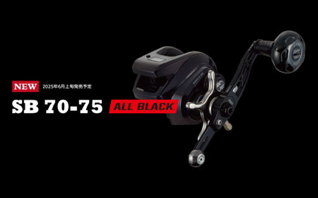 LIVRE リブレ SB 70-75 EP 37B ダイワ左巻き(オールブラック)  / 釣り具 釣り用品 釣り アウトドア 亀山市 / 有限会社メガテック[AMBB258-10]