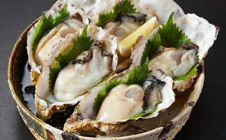 I-55生食用浦村牡蠣15個入りセット