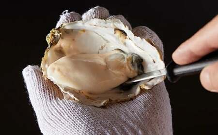 I-55生食用浦村牡蠣15個入りセット