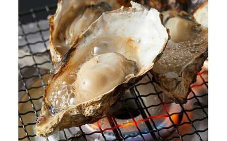 I-55生食用浦村牡蠣15個入りセット