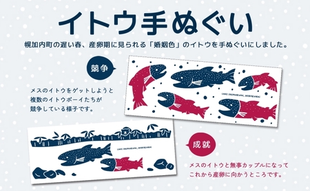 北海道 幌加内町 観光協会 イトウ手ぬぐいセット「競争・成就」 レターパック 幻の魚 イトウ 幻の魚 朱鞠内湖 保護活動 てぬぐい 日本製 岡生地 綿 カップル プリント 送料無料