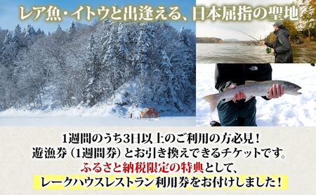 北海道朱鞠内 特典付 イトウ釣り 1週間チケット レストラン 利用券 朱鞠内湖 イトウ レア 魚釣り 北海道旅行 アウトドアキャンプ 自然散策 大自然 釣り初心者 湖畔 釣り旅行 釣りの聖地 体験 送料無料 北海道 幌加内町