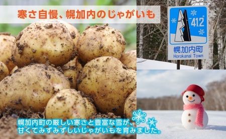 北海道産 訳あり じゃがいも 男爵 メークイン M～2L 各約10kg 計