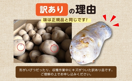 北海道産 訳あり じゃがいも 男爵 メークイン M～2L 各約10kg 計