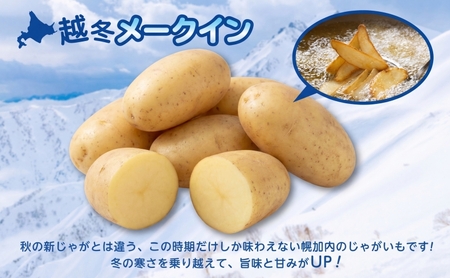 北海道産 訳あり 越冬 じゃがいも メークイン M～2L 約10kg ジャガイモ 馬鈴薯 ポテト 芋 いも イモ 越冬 旬 冬 農作物 訳アリ 規格外 家庭用 北海道 お取り寄せ 産地直送 笠井ファーム 送料無料 幌加内