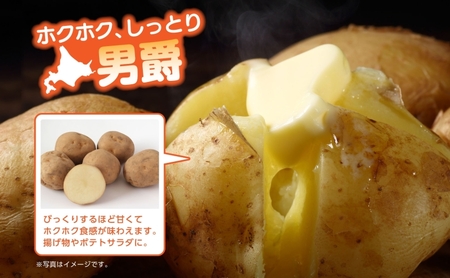 じゃがいも 10kg 五月蝿い キタアカリ 北海道産 送料無料 食品