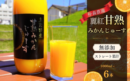 仲森農園の【麗紅甘熟みかんじゅーす】（6本） みかん 100% オレンジジュース れいこう 柑橘 ストレート ドリンク フルーツ【nkmr0008】