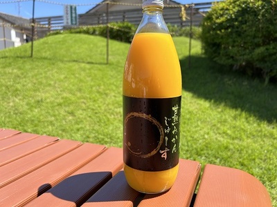 仲森農園の【麗紅甘熟みかんじゅーす】（6本） みかん 100% オレンジジュース れいこう 柑橘 ストレート ドリンク フルーツ【nkmr0008】