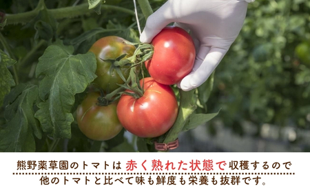 熊野薬草園の濃厚トマトジュース（1本） 720ml