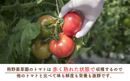 熊野薬草園の濃厚トマトジュース（2本）