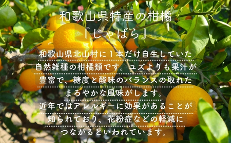 砂糖不使用じゃばらマーマレード（140g×２本）【kmys0019】