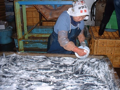 干物 さんま丸干し 10本 干物【uosk0015】