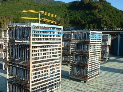 干物 さんま丸干し 10本 干物【uosk0015】