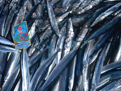 魚作　とっておき　干物セット【uosk0020】