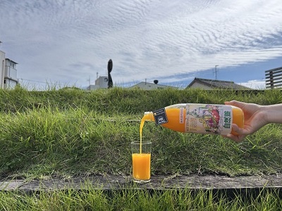 ⑫自然塾　柑橘100%まるごと絞りジュース　１本入り　みかんジュース オレンジ ポンカン 不知火 温州 ドリンク 飲料 飲み物 朝食 無添加 季節 旬【szjk0006】