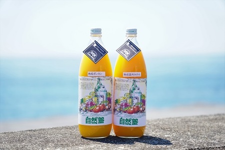 ⑬自然塾　柑橘100%まるごと絞りジュース　２本入り　みかんジュース オレンジ ポンカン 不知火 温州 ドリンク 飲料 飲み物 朝食 無添加 季節 旬【szjk0007】