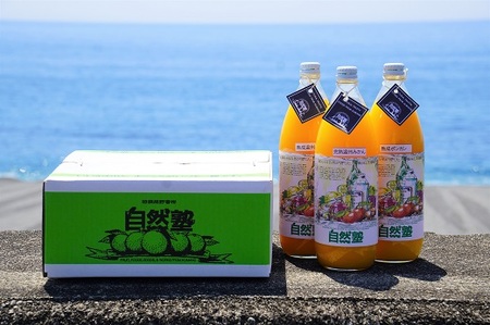⑭自然塾　柑橘100%まるごと絞りジュース　３本入り　みかんジュース オレンジ ポンカン 不知火 温州 ドリンク 飲料 飲み物 朝食 無添加 季節 旬【szjk0008】