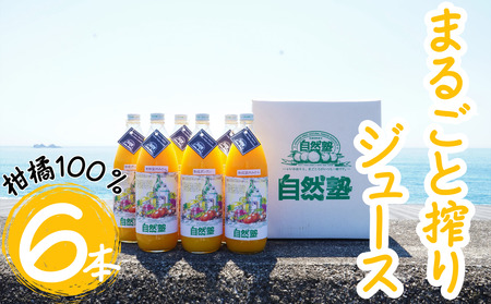 ⑮自然塾 柑橘100%まるごと絞りジュース 6本入り みかんジュース オレンジ ポンカン 不知火 温州 ドリンク 飲料 飲み物 朝食 無添加 季節 旬【szjk0009】