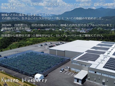 【先行受付】ブルーベリー くまのブルーベリー 冷凍 1㎏(500g×2) フルーツ 果物 くだもの ブルーベリー スムージー ジャム 朝食 デザート 特産品 人気 国産 旬 熊野精工 三重県 熊野市【kmsi0006】