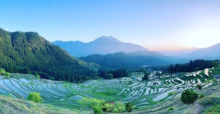 丸山千枚田を守る会会員権(令和8年度)【snmr0004】