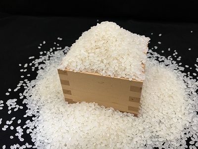 丸山千枚田を守る会会員権(令和8年度)【snmr0004】