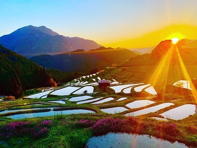 丸山千枚田を守る会会員権(令和8年度)【snmr0004】