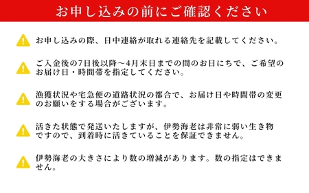 伊勢海老 約2キロ(2~5尾)【kmgk0004】