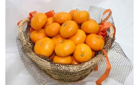 みかんジュース 仲森農園 甘熟みかんジュース 1L×6本【nkmr0005A】